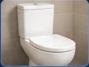 Toilet repairs
